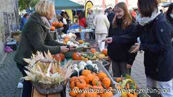 Bauernmarkt bringt Vielfalt aus der Region nach Helmstedt