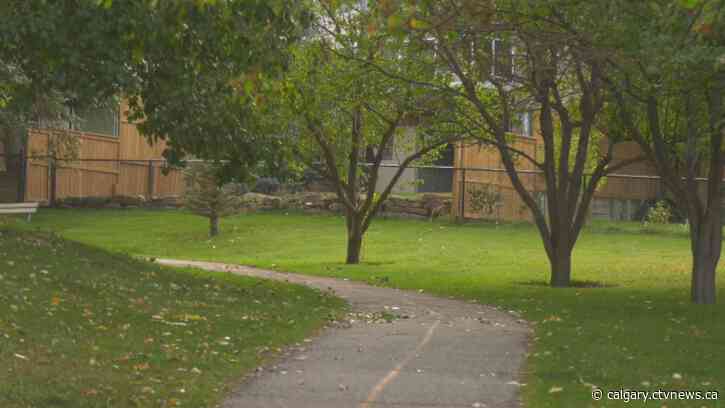 Child injured in coyote attack in northwest Calgary