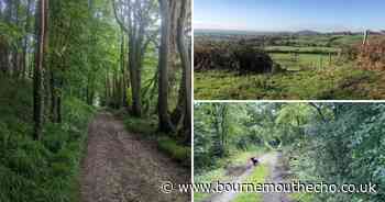 5 of the best autumn walks to find in Dorset to enjoy some fresh air