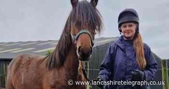 Two horses in need of help rescued by equine charity