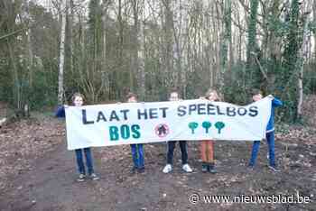 Speelbosje in Maria-ter-Heide zal dan toch behouden blijven