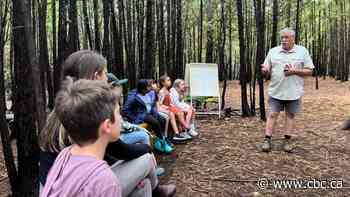These kids learn from the forest, as their teacher aims to weave climate education into more lessons