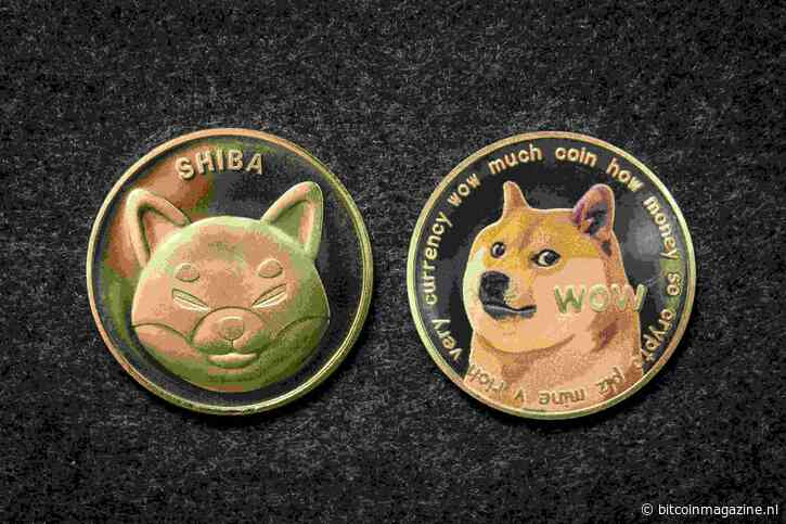 SHIB & DOGE koers verwachting: wat gaan de populaire crypto memes doen in oktober?