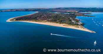 Friends on camping trip found dead man in woods