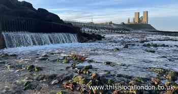 24 of the best walks in Kent to try in 2024