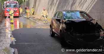 Paard sterft door botsing met auto, passagier van koets naar ziekenhuis gebracht
