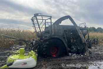 Maishakselaar gaat volledig in vlammen op