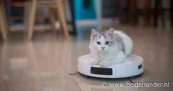 Nooit meer zelf de kruimels opzuigen: deze robotzuiger is de beste