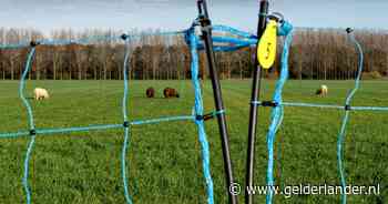 Wolvenschade kost klauwen met geld: al meer dan een miljoen euro