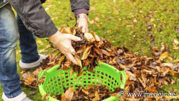 Was Sie im Herbst beim Rasenmähen keinesfalls vergessen sollten