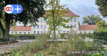 Lange-Gedenkstein: Bauunternehmen aus Bad Segeberg übernimmt Umsetzung zur Dahlmannschule