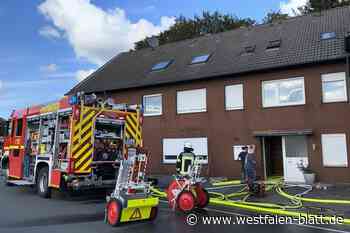 Feuerwehr Bielefeld rettet zwei Katzen aus brennender Wohnung