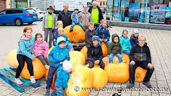 Themenmarkt Altensteig: Der dickste Kürbis wiegt 167,5 Kilo