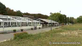 Horecazaken Sint-Anneke vragen duidelijkere communicatie over toegankelijkheid Waaslandtunnel