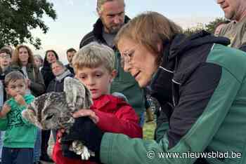 Kinderen laten tien roofvogels uit Natuurhulpcentrum vrij aan Schulensmeer