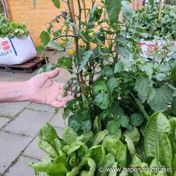Inloopochtend bij Socialiteit BIELS – Samen bouwen aan een zinvol bestaan