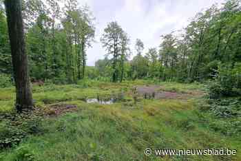 25 hectare open ruimte beschermd tegen bebouwing: “Te watergevoelig om in te bouwen”