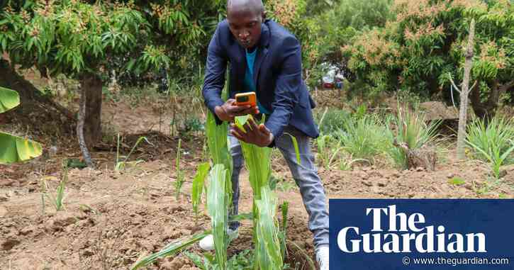High tech, high yields? The Kenyan farmers deploying AI to increase productivity