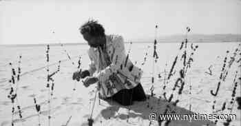 The Secret Art of David Hammons