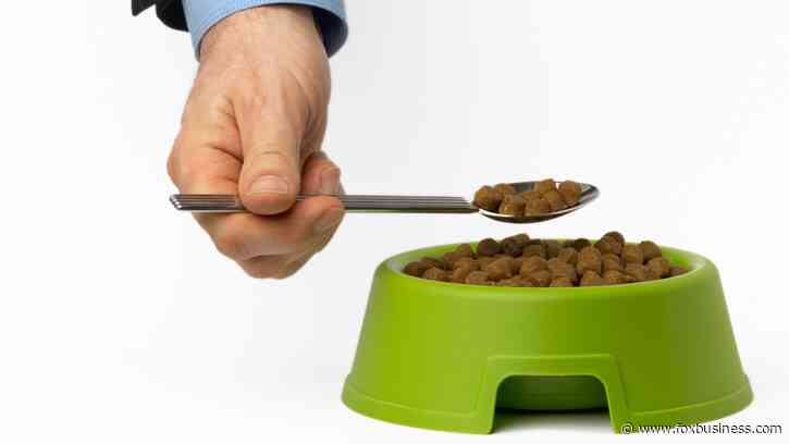 Make money as a dog food taster with these steps to getting started