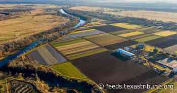 Texas lawmakers, farmers and ranchers sound alarm over languishing farm bill