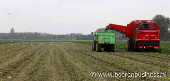 Suikerbieten iets zoeter bij start van campagne