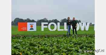 Een feestje met bonen, bieten, snijbiet, spinazie en een nieuwe naam