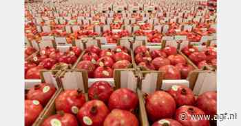 "Houdbaarheid granaatappelpitten tot twintig dagen"