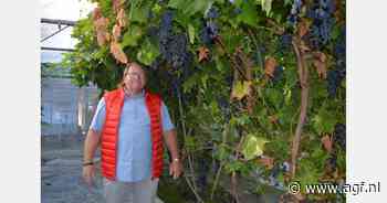 Duitse druiventeler stopt ermee