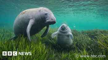 Wildlife Photographer of the Year comes to Birmingham