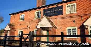 'Low-key country inn' in New Forest named among top 100 pubs in Britain