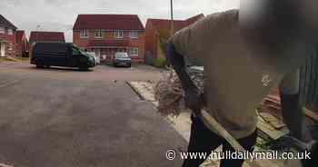 Video shows Evri driver attacking customer's dogs with mop through letterbox