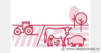 Weidegang en wetgeving door de ogen van een Landbouwinspecteur