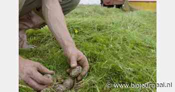 Help het natuurinclusieve profiel van biologische landbouw te versterken