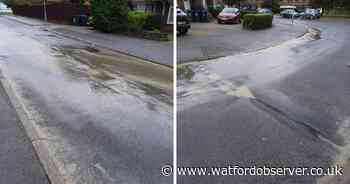 'Unholy' smell as residents claim SEWAGE is trickling down their street