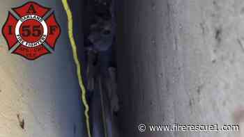 Video: Calif. FFs rescue deer stuck upside down between house, garage
