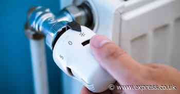 State pensioners can get £380 if they spend £1.40 after Winter Fuel Payment axe