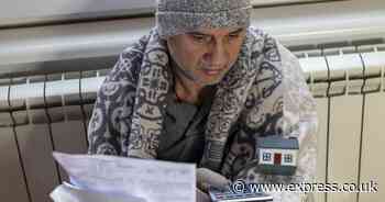 Octopus, OVO and other customers face rationing this winter as bills to rise £149