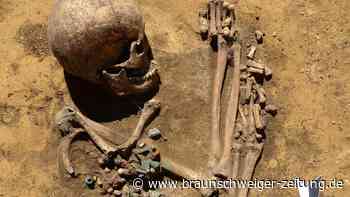 Historischer Fund: Römische Artefakte auf Gräberfeld entdeckt