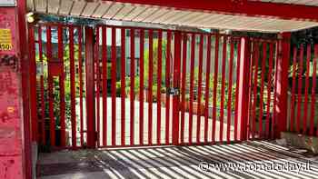 Scuola chiusa per tre giorni: ci sono escrementi di topo nelle aule