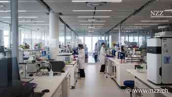 «Wir werden liefern»: Der Roche-Chef Schinecker trimmt die Forschung auf Effizienz