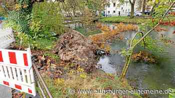 Jeder umgestürzte Baum mehr weckt Ängste