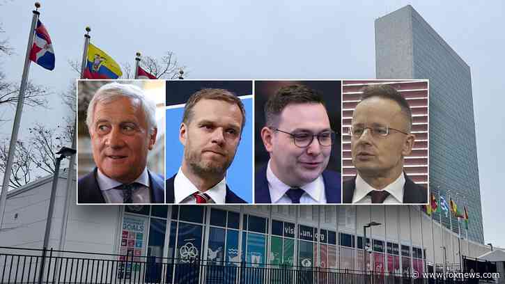 European leaders weigh in on 'legitimate' issue of illegal immigration: 'Must be stopped'