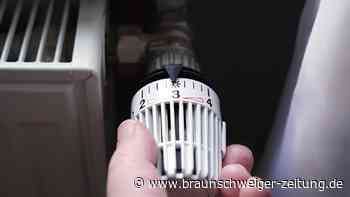 Wie kalt wird der Winter? Wettermodelle geben erste Prognose