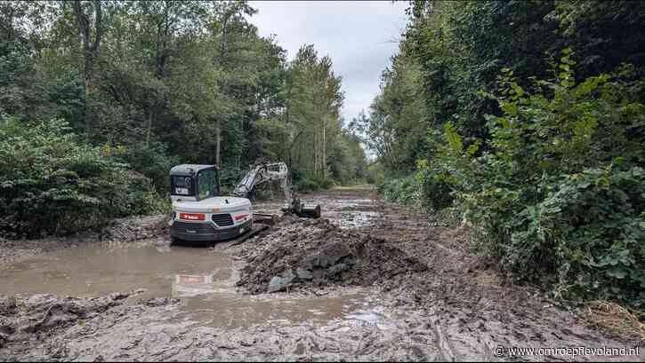Biddinghuizen - Mud Masters voorbij: evenemententerrein weer omgetoverd tot bos
