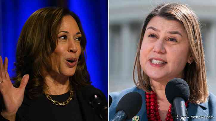 Michigan Democratic Senate hopeful warns Harris is falling behind in critical state: 'Underwater'