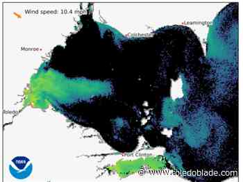 Algal bloom still going strong as October rolls in, but clouds obscure exact location