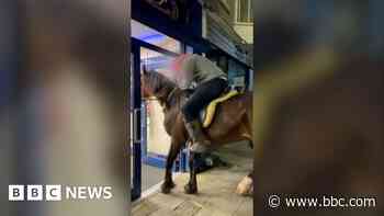 Watch: Customers in shock as horses queue in chippy