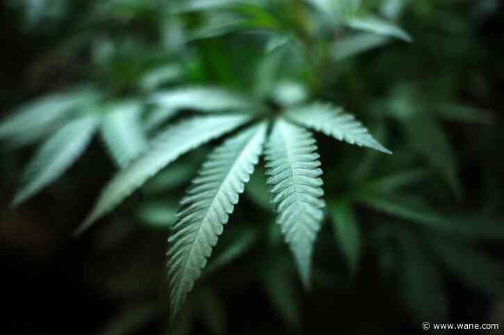 Fort Wayne man charged after police find over 11 lbs of marijuana in car