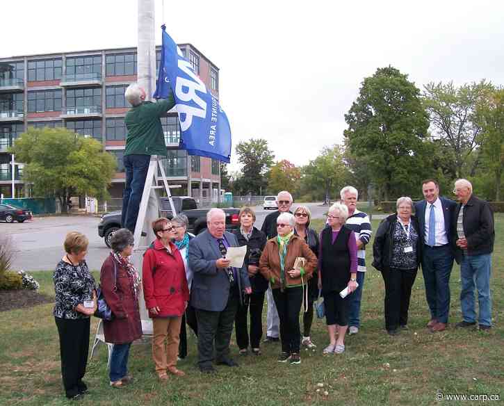 Honouring Seniors Today: A Call to Action